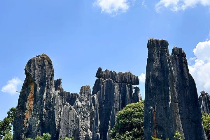 Stone Forest & Yiliang Roast Duck: Private Day Tour from Kunming photo 4