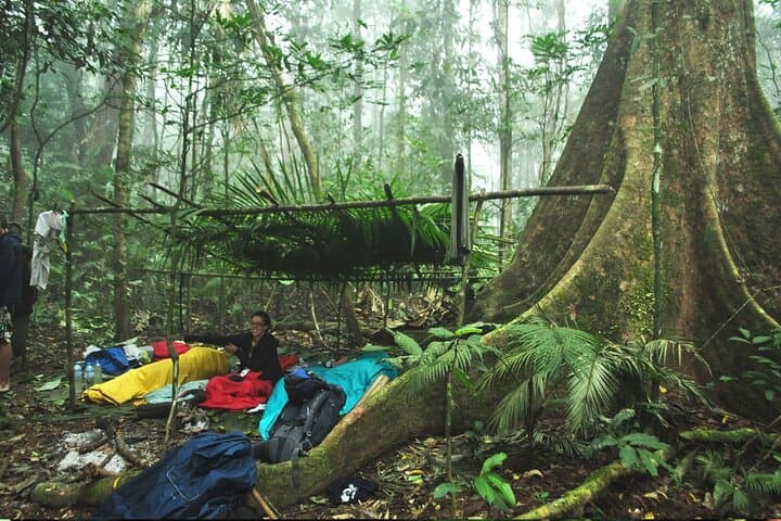 3-Day Nam Ha NPA Jungle Camp & Khmu Homestay Trek — Luang Namtha Adventure