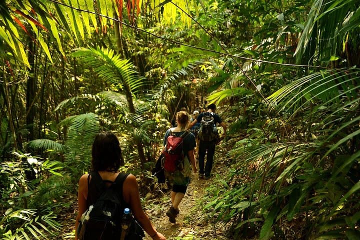 2-Day Multi-Adventure in Nam Ha NPA — Trek, Khmu Homestay & Kayak Rapids photo 2