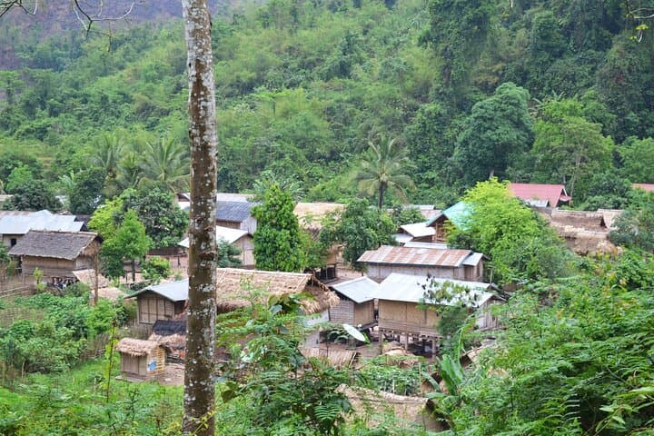 Nalan Trail & Khmu Homestay Trek — 2-Day Nam Ha NPA Jungle Experience photo 5