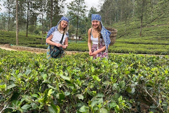Ella to Nuwara Eliya Day Trip: Tea Plantations, Ramboda Falls & Tuk Tuk Return photo 4