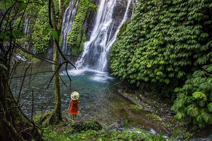 Banyumala Twin Waterfalls & Wanagiri Hidden Hills: Day Tour from Ubud