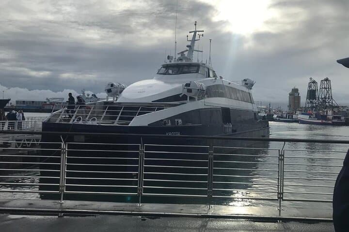 Robben Island Half-Day Tour: Ferry to Mandela's Prison from Cape Town photo 6