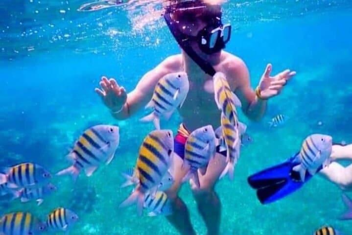 Roatán Private Snorkeling & Eco-Park Combo: West Bay Beach, Sloths & Monkeys