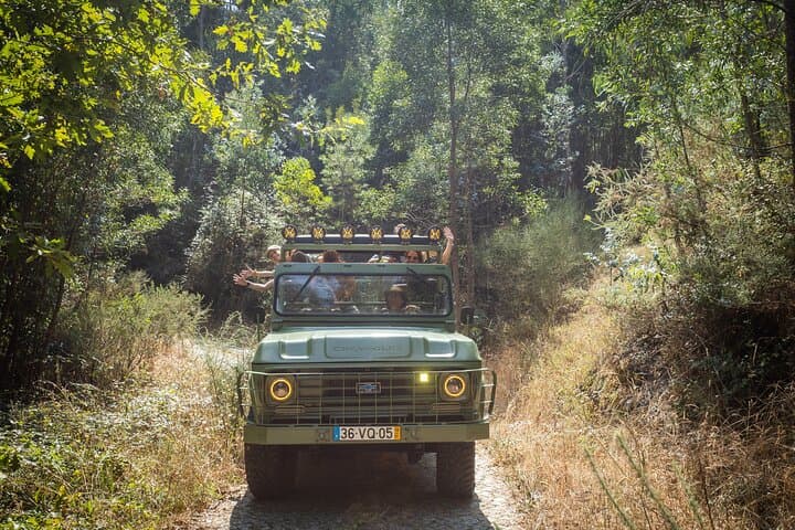 Douro River Scenic Cruise to Jancido Mills and Monte Crasto