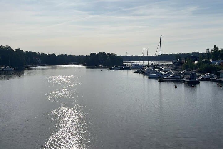 Private Floating Sauna and Winter Swim with Finnish Gourmet Tasting photo 4