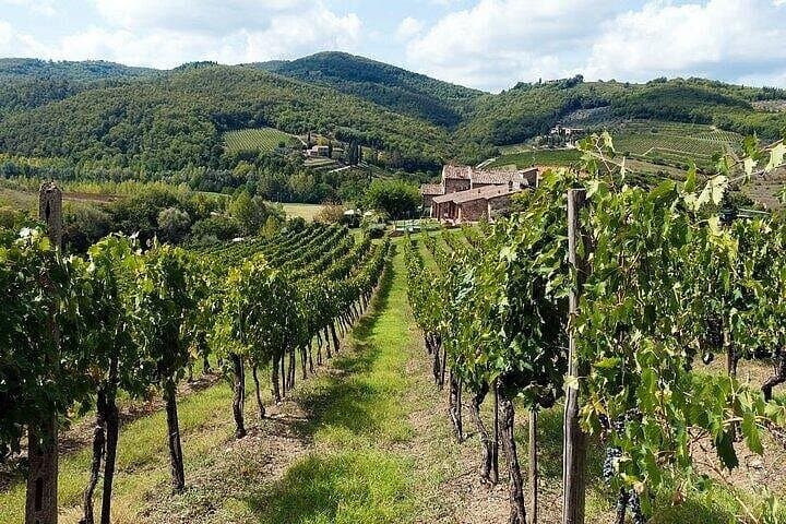 Full-Day Chianti, San Gimignano & Siena Tour with Wine Tastings from Florence photo 2
