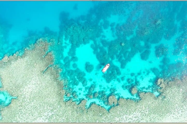 Half-Day Outer Reef Snorkel from Port Douglas — Speed-Boat Adventure