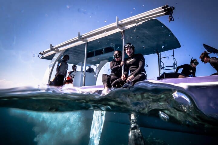 Private Snorkeling & Freediving Trip to Manta Point, Nusa Penida — Swim with Mantas and Reefs photo 6