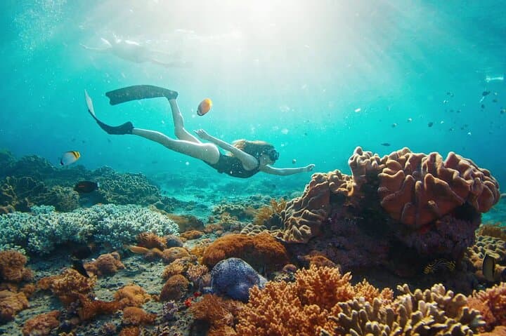 East Coast Nusa Penida Private Snorkeling — Small-Group Reefs & Drift Dives photo 2