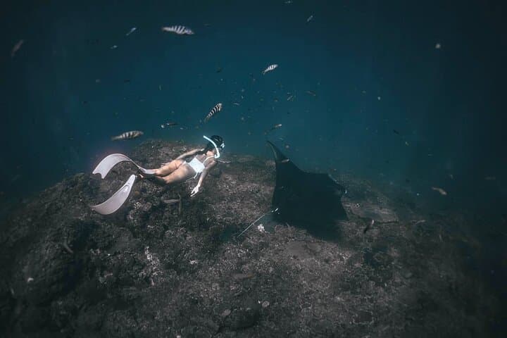 Manta Point Freediving: Snorkel with Manta Rays Off Nusa Penida