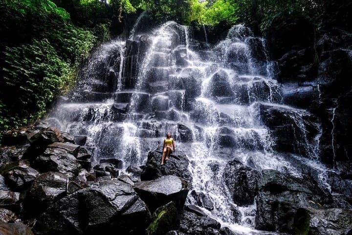 Bali Hidden Waterfalls & Tegalalang Rice Terrace: Private Full-Day Tour from Ubud photo 2