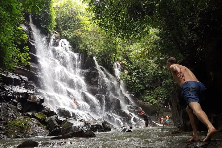 Bali Hidden Waterfalls & Tegalalang Rice Terrace: Private Full-Day Tour from Ubud photo 5