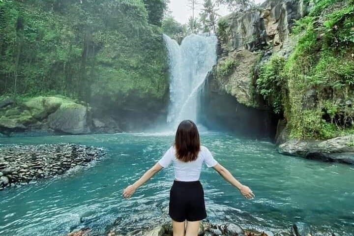 Bali Hidden Waterfalls & Tegalalang Rice Terrace: Private Full-Day Tour from Ubud photo 3