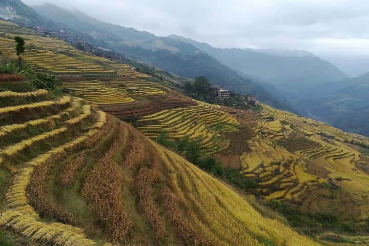 Hike Longji (Dragon's Backbone) Rice Terraces — Full-Day Ping'an & Zhuang Village Trek photo 5