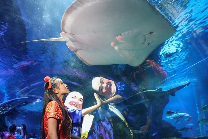 SEA LIFE Bangkok + Madame Tussauds: Combo Ticket for Aquarium and Wax Museum photo 1