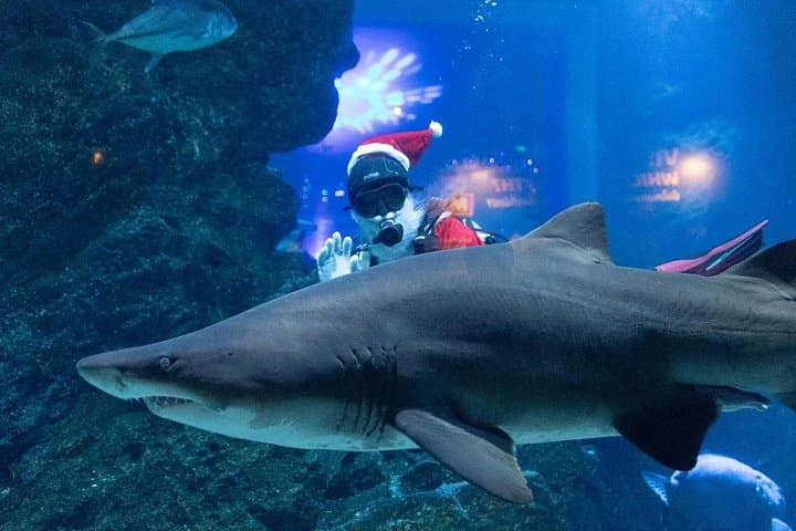 SEA LIFE Bangkok + Madame Tussauds: Combo Ticket for Aquarium and Wax Museum photo 3