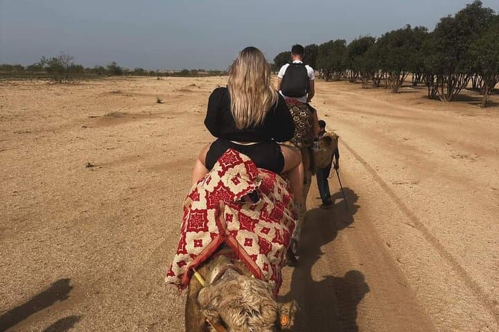 Agadir Camel Ride & BBQ: Sunset Dunes, Souss River Views and Traditional Moroccan Camp photo 2