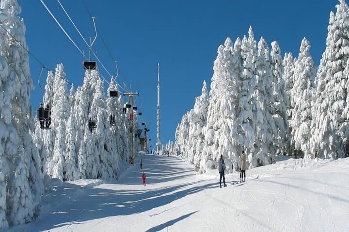 Day Trip to Borjomi & Bakuriani — Mineral Springs, Alpine Trails and Ski Slopes photo 2