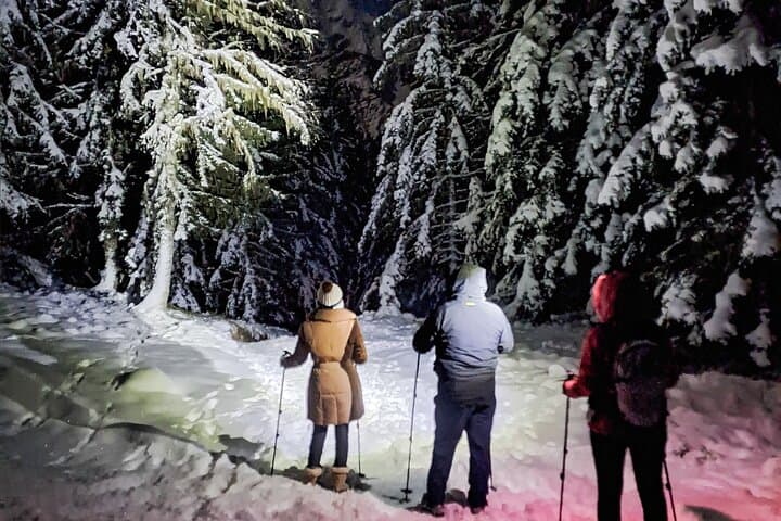 Chamonix Night Snowshoeing Under the Stars — Private Guided Tour photo 2