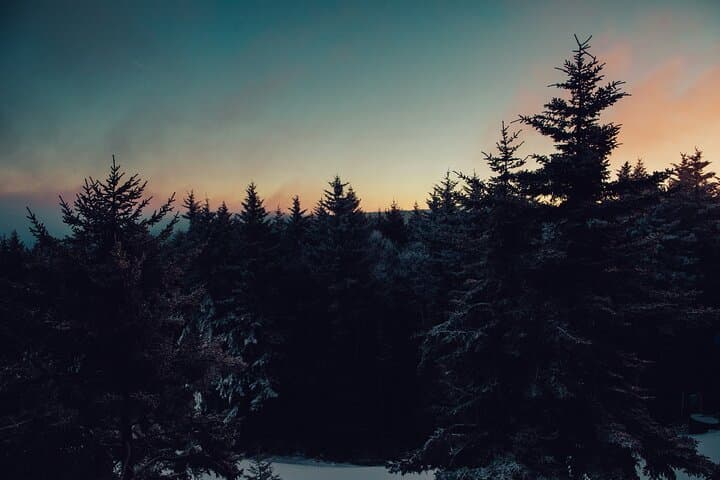 Chamonix Night Snowshoeing Under the Stars — Private Guided Tour photo 5