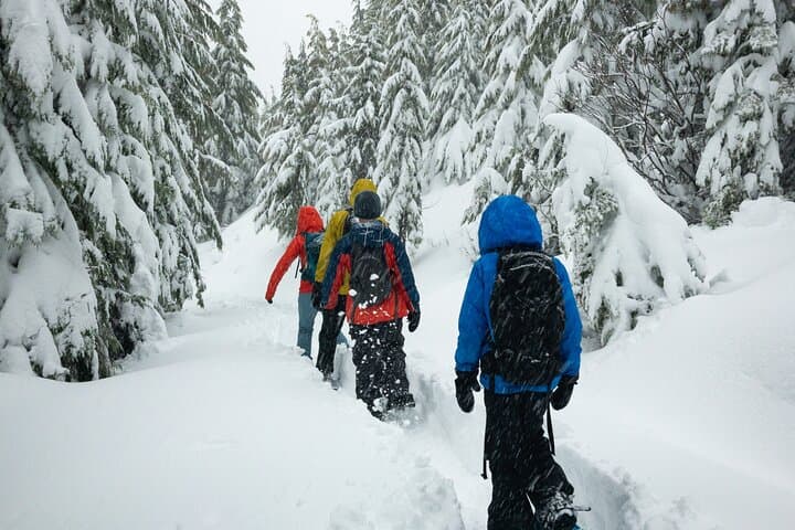 Chamonix Night Snowshoeing Under the Stars — Private Guided Tour photo 6