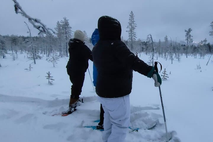 Sliding Ski Adventure in Pyhä–Luosto National Park: Private Guided Arctic Backcountry Tour photo 3
