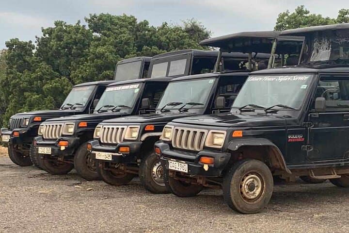 Udawalawe Elephant Safari: 4-, 6- & 10-Hour Wildlife Jeep Tours photo 3