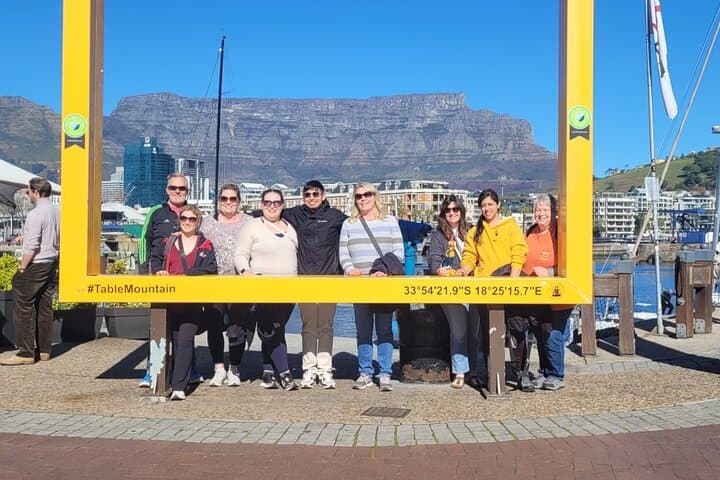 Full-Day Table Mountain to Cape Point: Penguins, Wine & Coastal Views photo 2