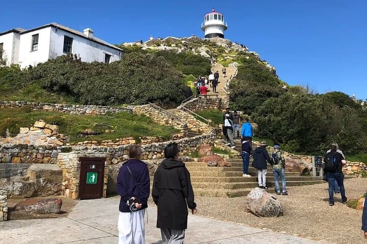 Full-Day Table Mountain to Cape Point: Penguins, Wine & Coastal Views photo 5
