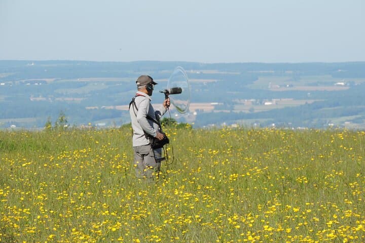 Chennai Birding by Ear: Pallikaranai Sound-Focused Birdwatching with Spotting Scope photo 3