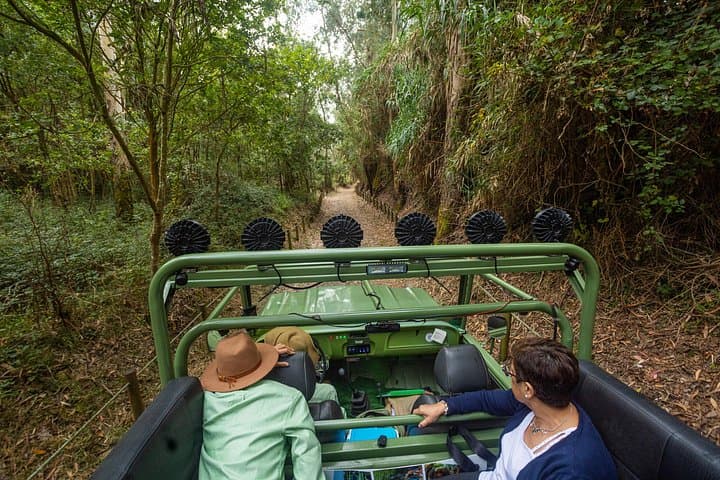 Portugal’s North Coast: Nature, History & Coastal Culture from Porto photo 4