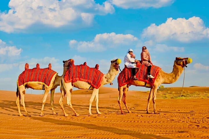 Dubai Desert Safari: Dune Bashing, BBQ & Stargazing in Lahbab photo 4