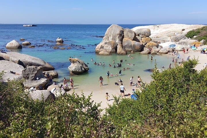 Swimming with African Penguins: Boulders Beach to Cape Point Coastal Day Tour photo 1