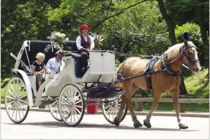 Central Park Private Horse Carriage Ride: Classic 40-Minute Tour in NYC photo 2