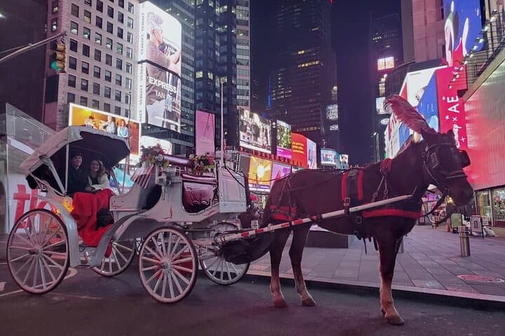 Central Park Private Horse Carriage Ride: Classic 40-Minute Tour in NYC photo 3