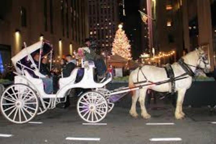 NYC Christmas Lights Horse-Drawn Carriage Tour to Rockefeller Center photo 2