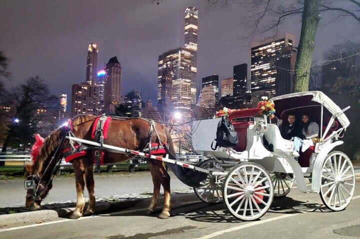 NYC Christmas Lights Horse-Drawn Carriage Tour to Rockefeller Center photo 3