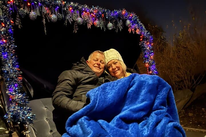 NYC Christmas Lights Horse-Drawn Carriage Tour to Rockefeller Center photo 5