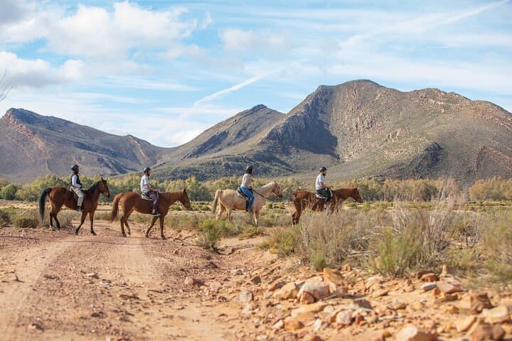 Aquila Horseback Safari from Cape Town — Big Five Ride with Meals & Transfers photo 2