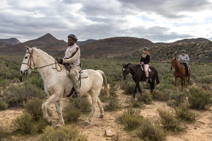 Aquila Horseback Safari from Cape Town — Big Five Ride with Meals & Transfers photo 4
