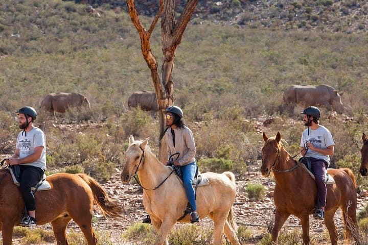 Aquila Horseback Safari from Cape Town — Big Five Ride with Meals & Transfers