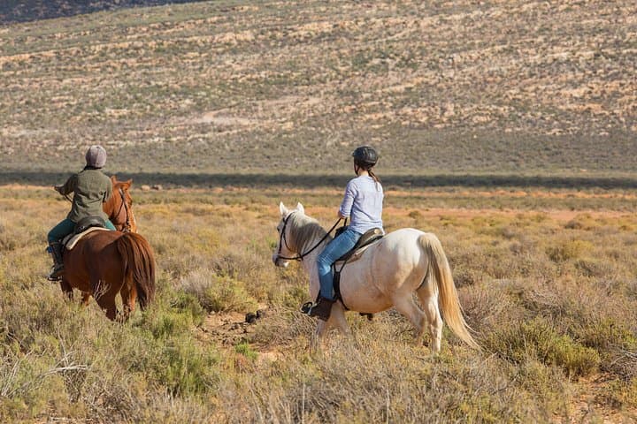 Aquila Horseback Safari from Cape Town — Big Five Ride with Meals & Transfers photo 3