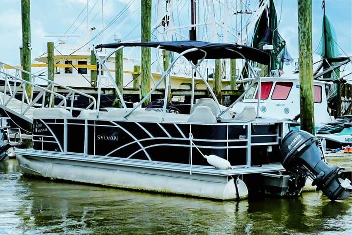 Pontoon Boat Rental Tybee Island — Private Pontoon Trips & Dolphin Watching photo 2