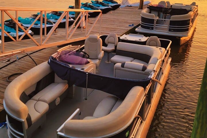 Pontoon Boat Rental Tybee Island — Private Pontoon Trips & Dolphin Watching photo 3