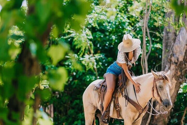 Explore Los Haitises National Park and Montaña Redonda: A Full-Day Adventure from Punta Cana photo 4