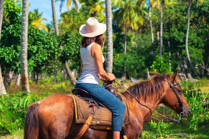 Explore Los Haitises National Park and Montaña Redonda: A Full-Day Adventure from Punta Cana
