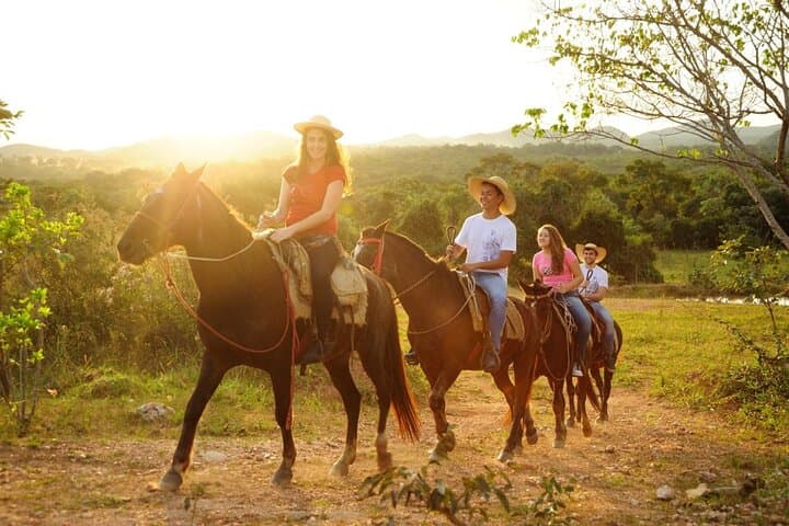 Explore Los Haitises National Park and Montaña Redonda: A Full-Day Adventure from Punta Cana photo 6