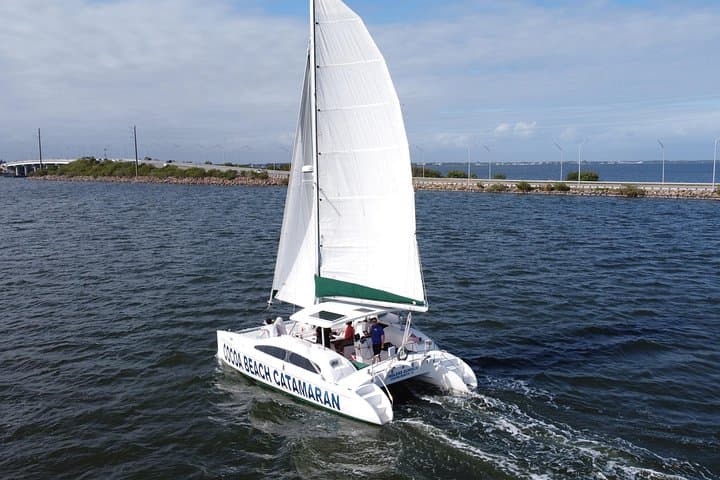 Private Dolphin Catamaran Sail in Cocoa Beach: Thousand Islands Wildlife Cruise photo 1
