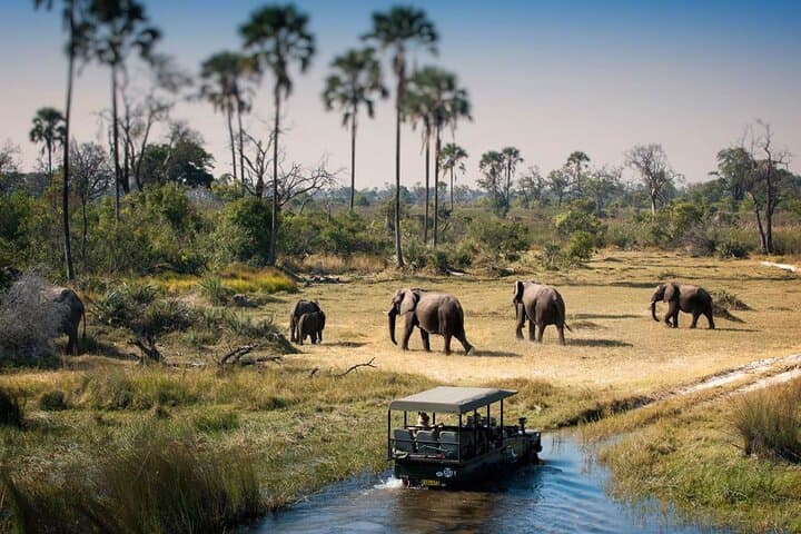 Chobe Botswana Day Trip from Victoria Falls: Day Safari & River Cruise photo 6